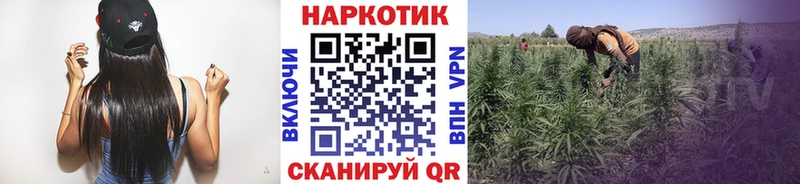 Купить Амфетамин  Кокаин  Мефедрон  Каннабис  ГАШ  Щучье