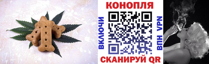 Купить где  Щучье  Canna-Cookies конопля 