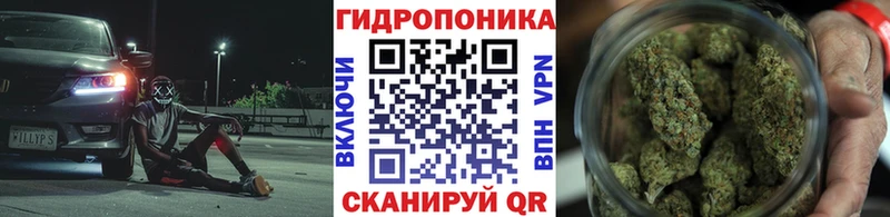 Конопля LSD WEED  Купить  Щучье 